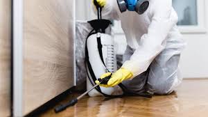 Best Fumigation Services  in Middletown, VA